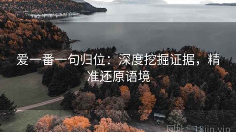 爱一番一句归位：深度挖掘证据，精准还原语境