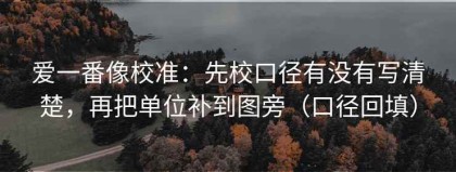爱一番像校准：先校口径有没有写清楚，再把单位补到图旁（口径回填）
