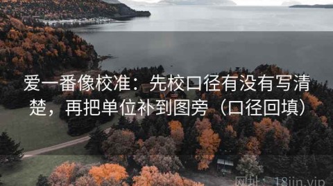 爱一番像校准：先校口径有没有写清楚，再把单位补到图旁（口径回填）