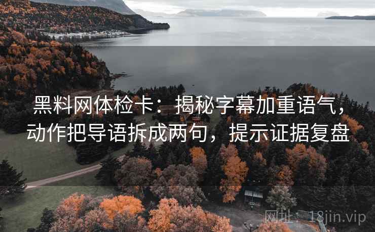 黑料网体检卡：揭秘字幕加重语气，动作把导语拆成两句，提示证据复盘
